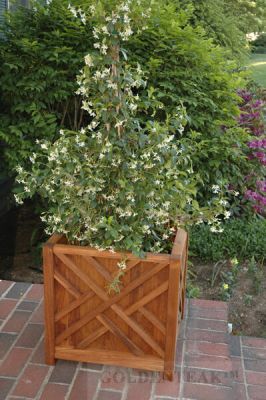 Goldenteak Teak Chippendale Planter Box Customer Photo